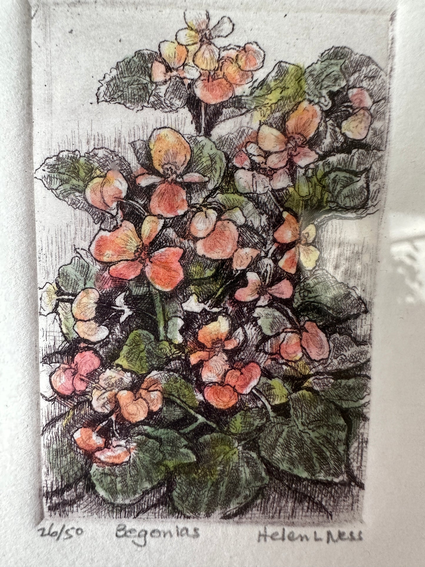 Helen L. Ness Limited Edition Signed Prints (Set of 4)