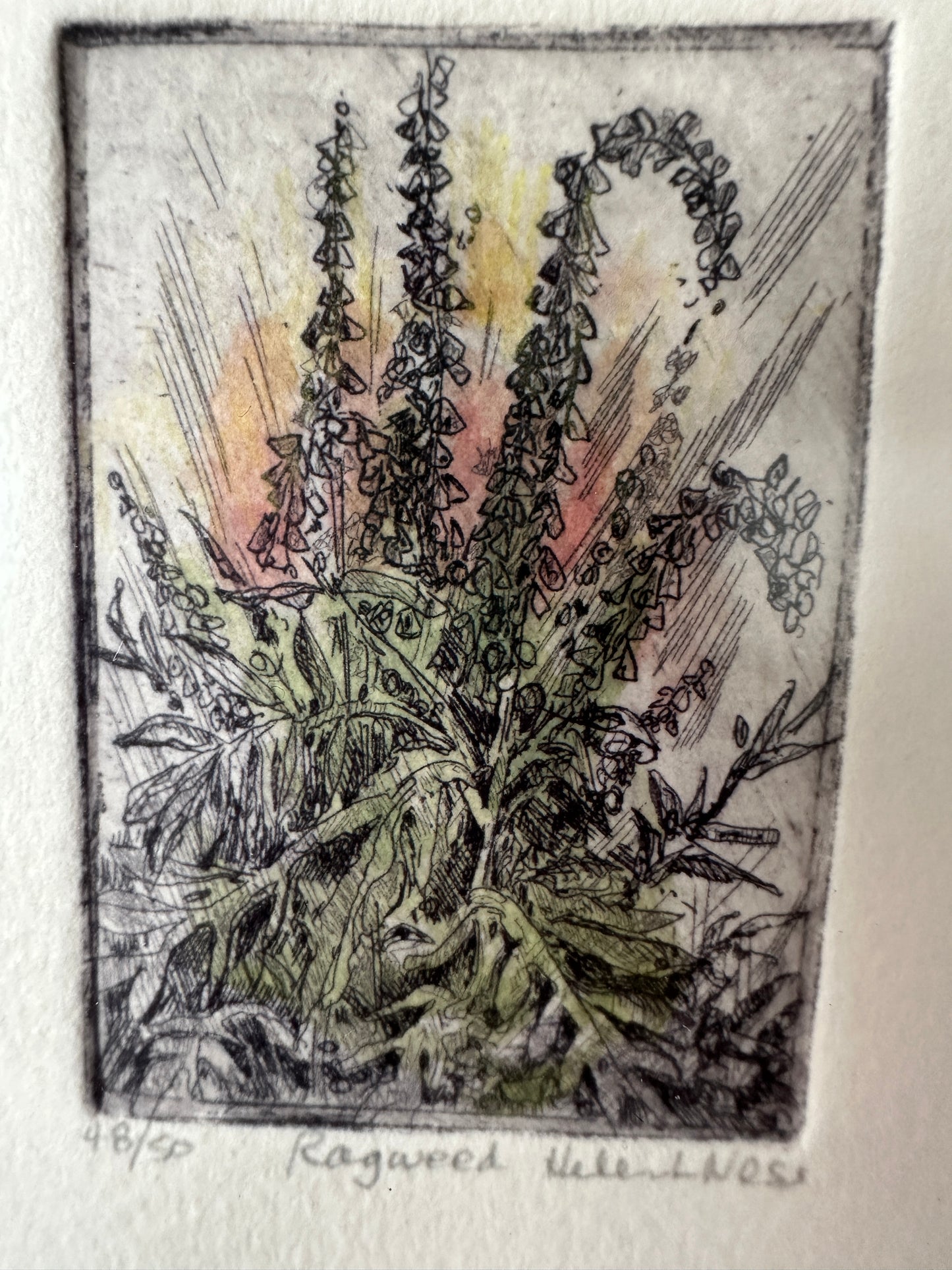 Helen L. Ness Limited Edition Signed Prints (Set of 4)