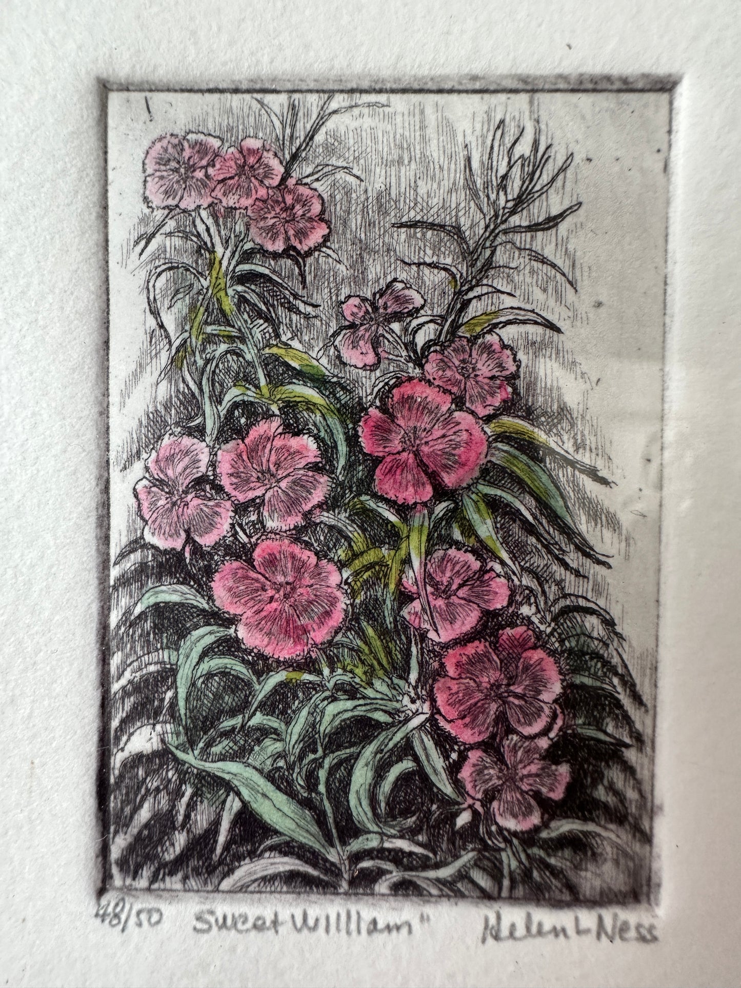 Helen L. Ness Limited Edition Signed Prints (Set of 4)