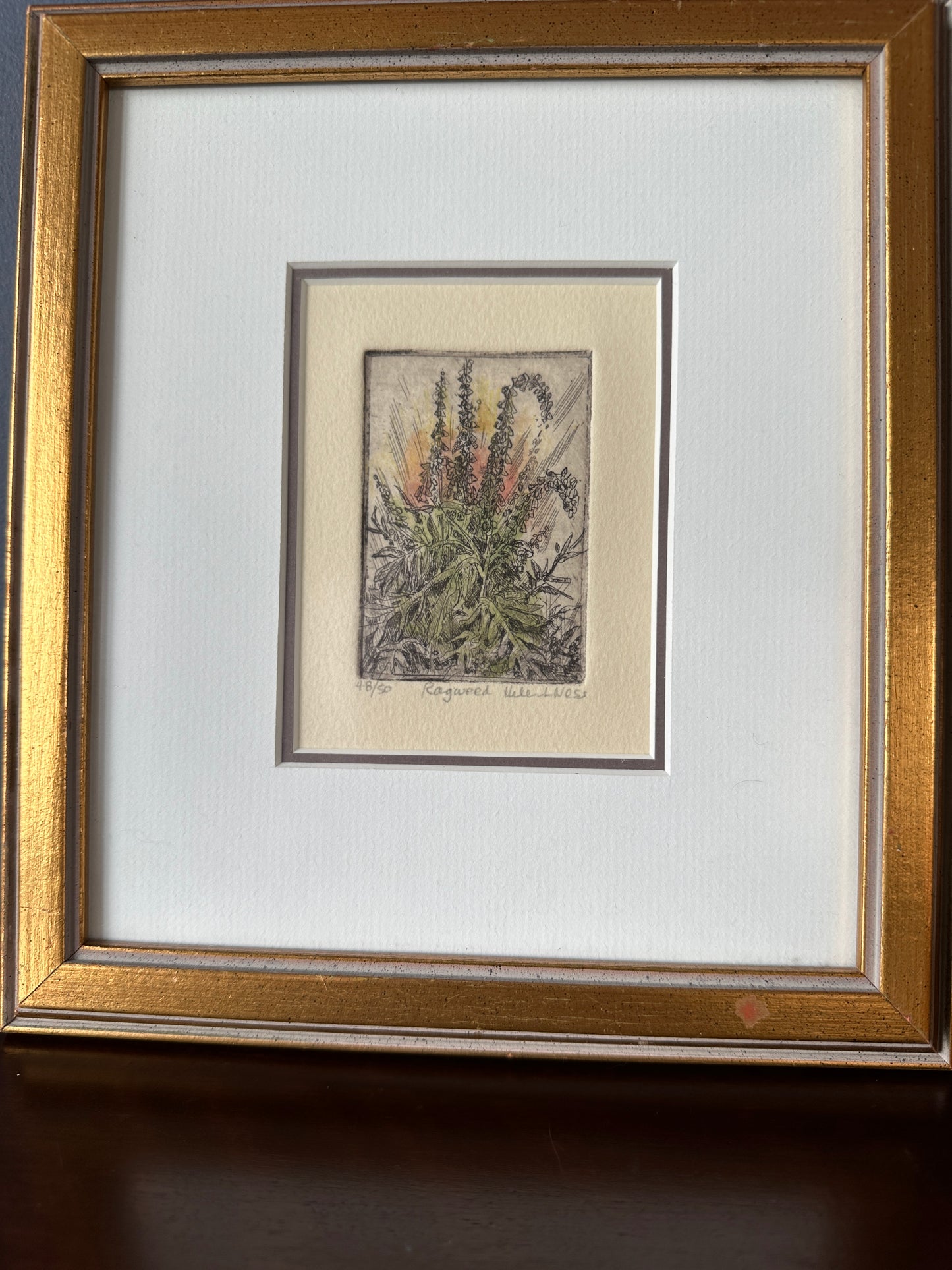 Helen L. Ness Limited Edition Signed Prints (Set of 4)