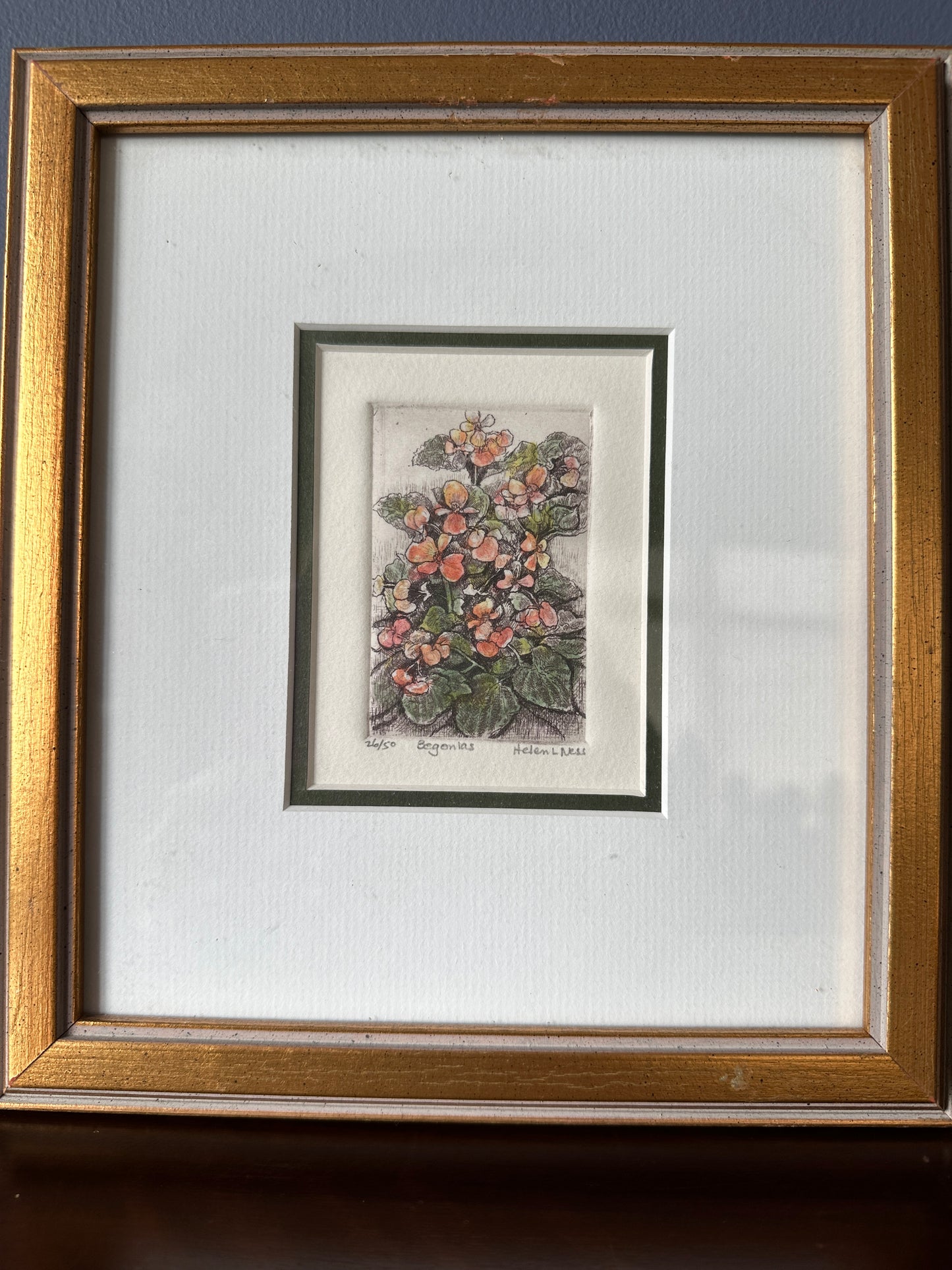 Helen L. Ness Limited Edition Signed Prints (Set of 4)