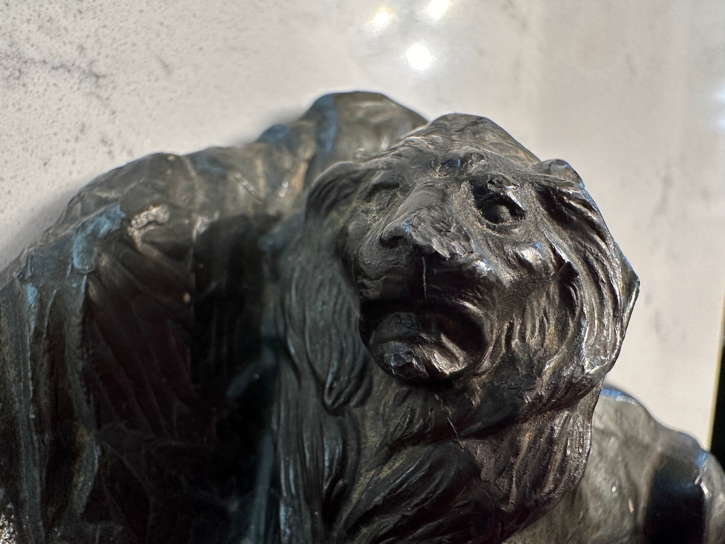 Lion of Belfort Bookends